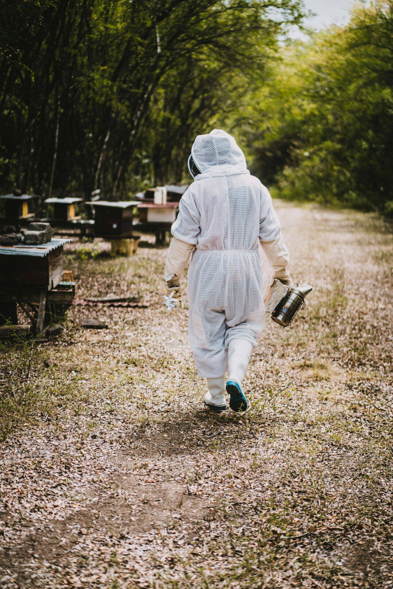 Angélique au sein du rucher