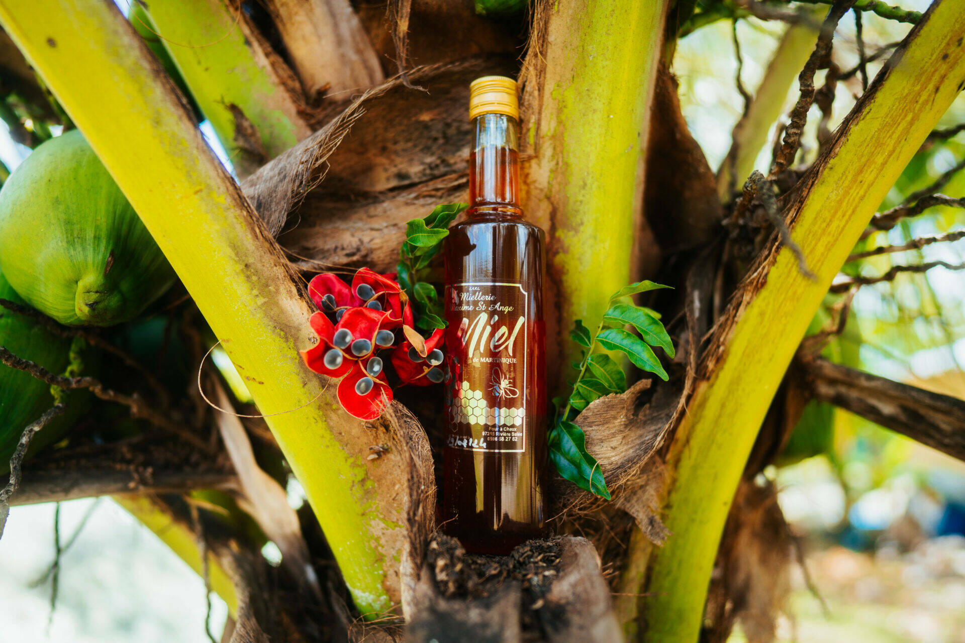 Bouteille de miel