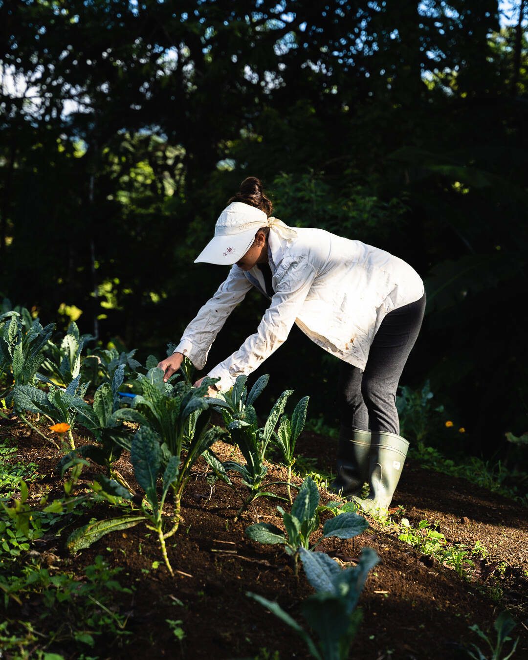 Delphine travaillant dans le champ