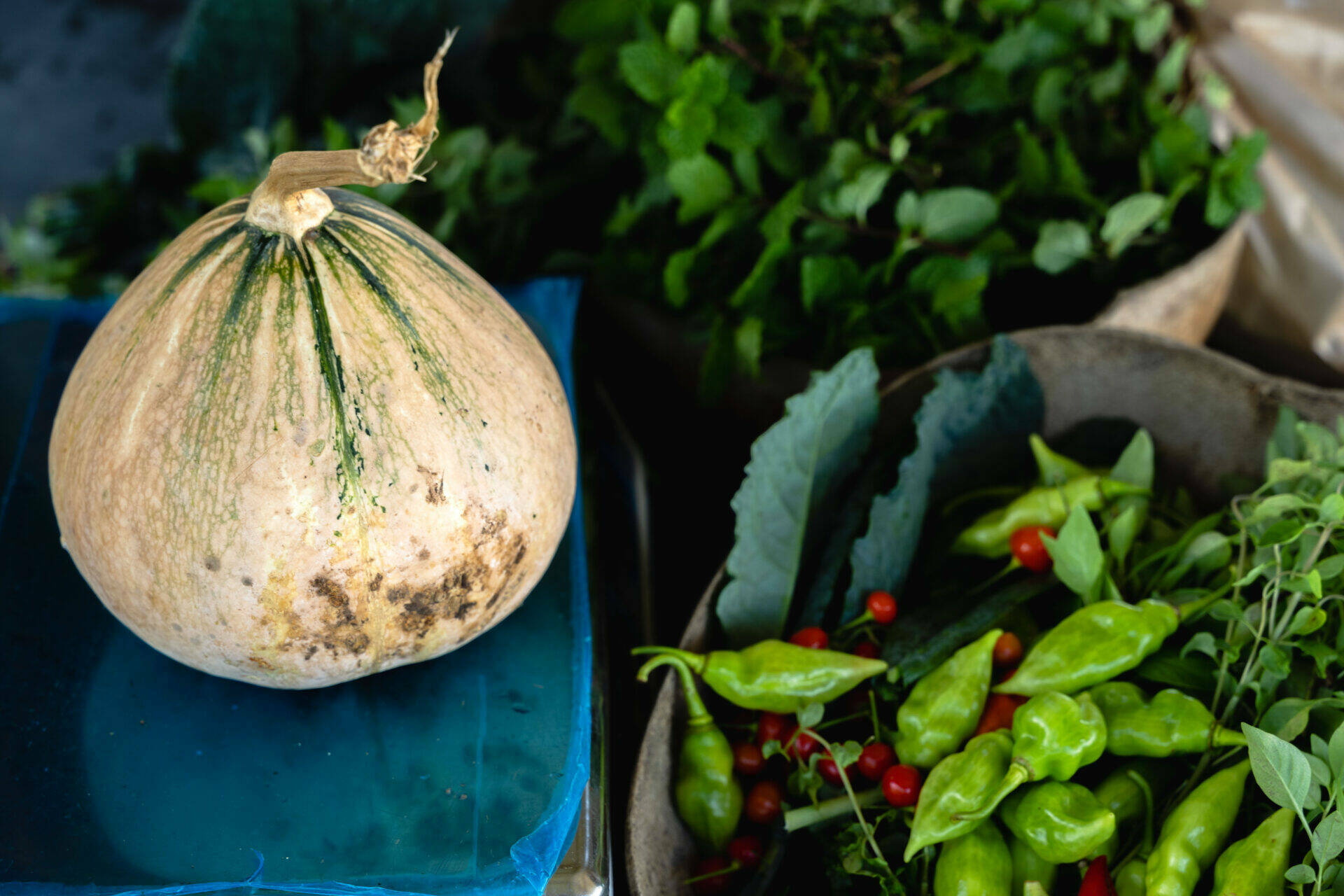 Assortiments de la cueillette : piment végétarien, piment cerise, giraumon et autres herbes aromatiques