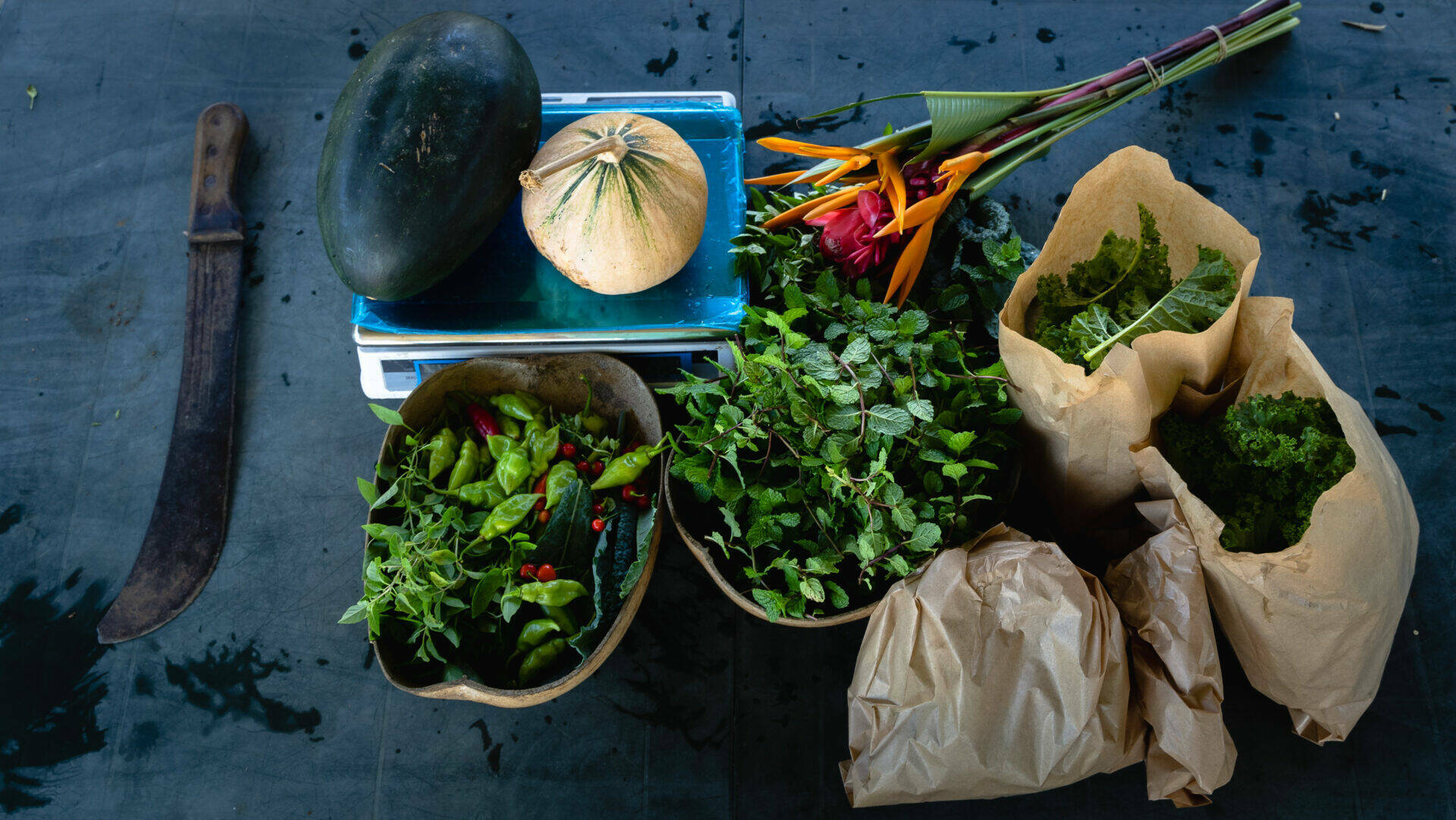 Assortiments de la cueillette : piment végétarien, piment cerise, giraumon et autres herbes aromatiques