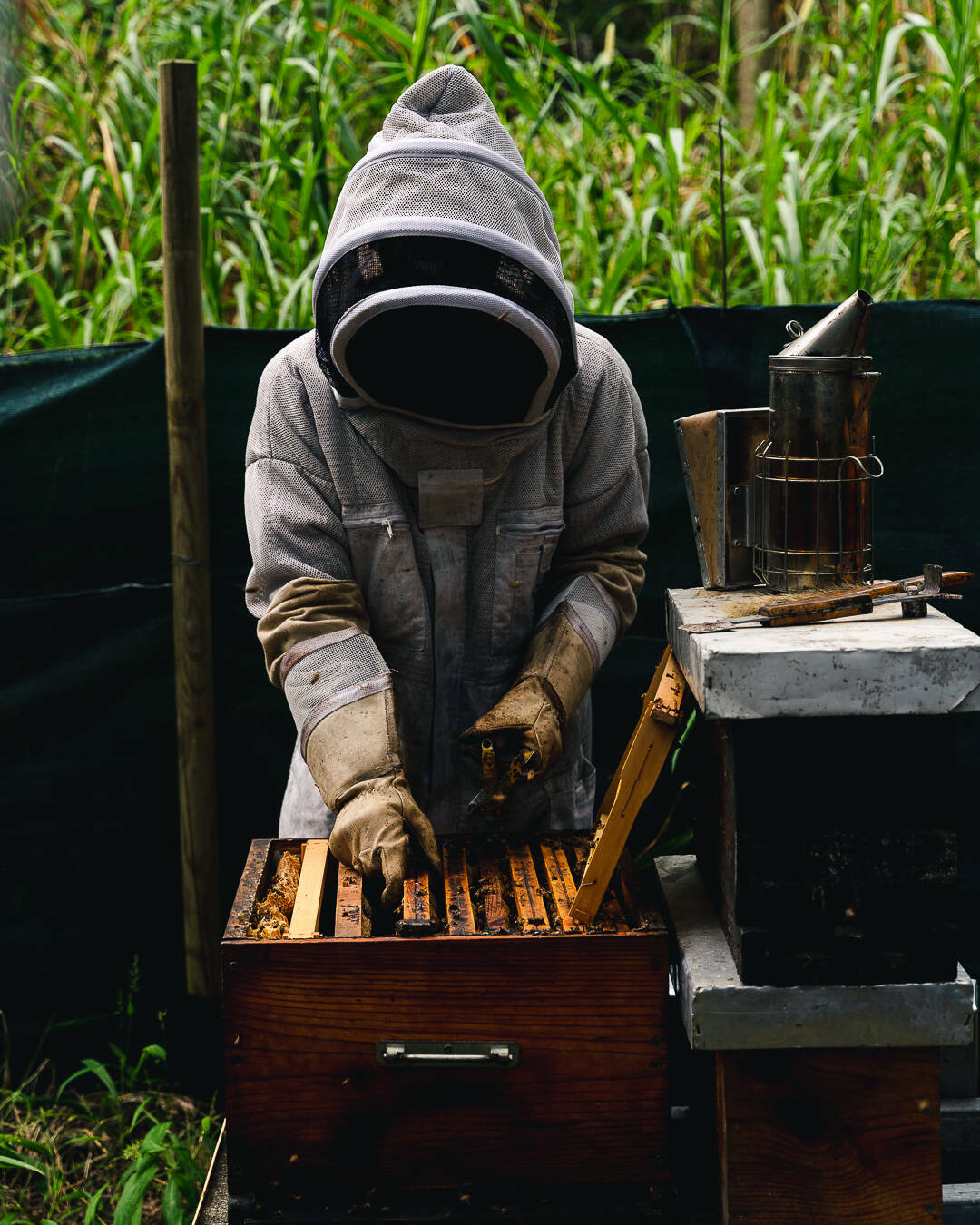 Karl dans une tenue d'apiculteur travaillant sur une ruche
