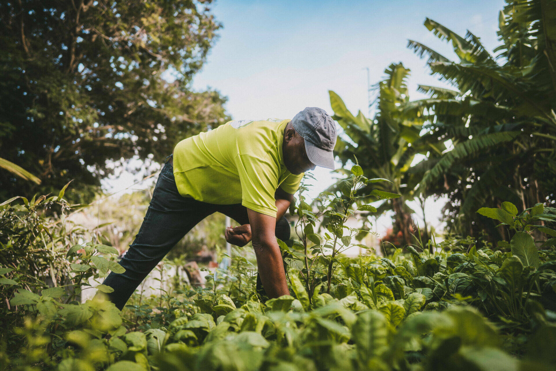 Claude au travail dans le champ