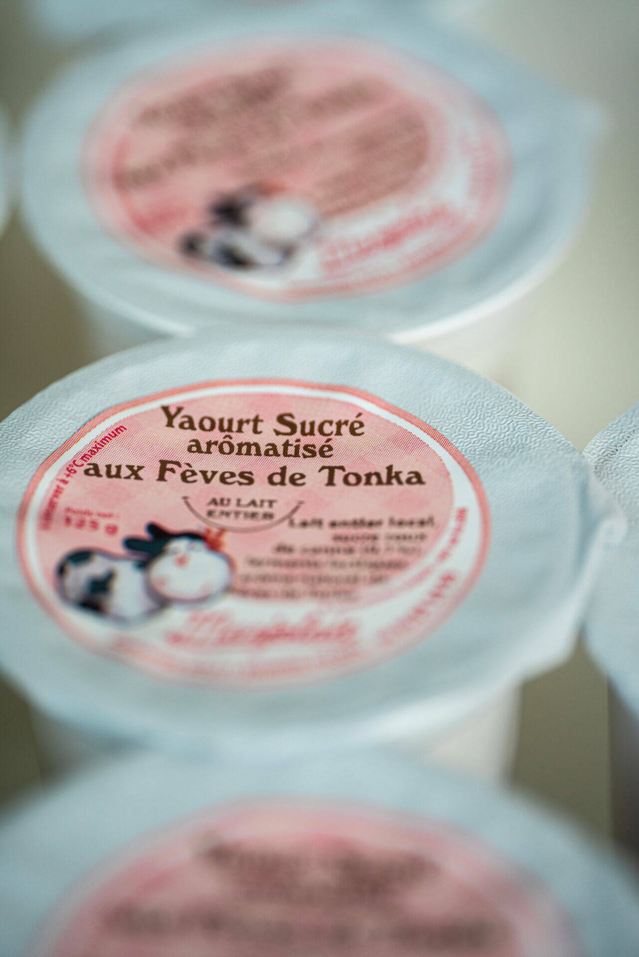 Yaourt sucré aux fèves de tonka