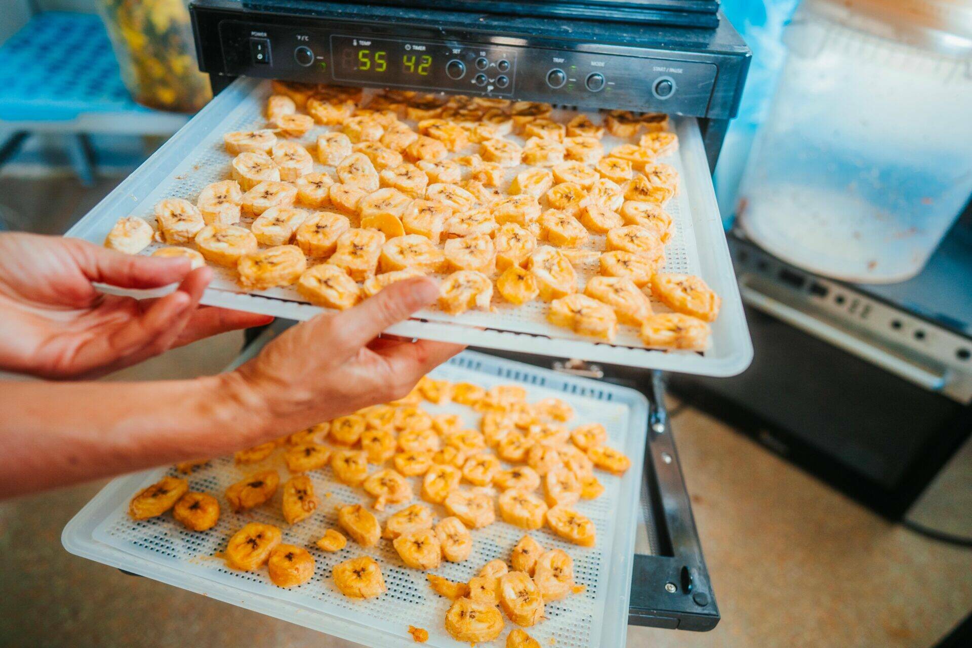 Bananes en tranche sortie du déshydrateur