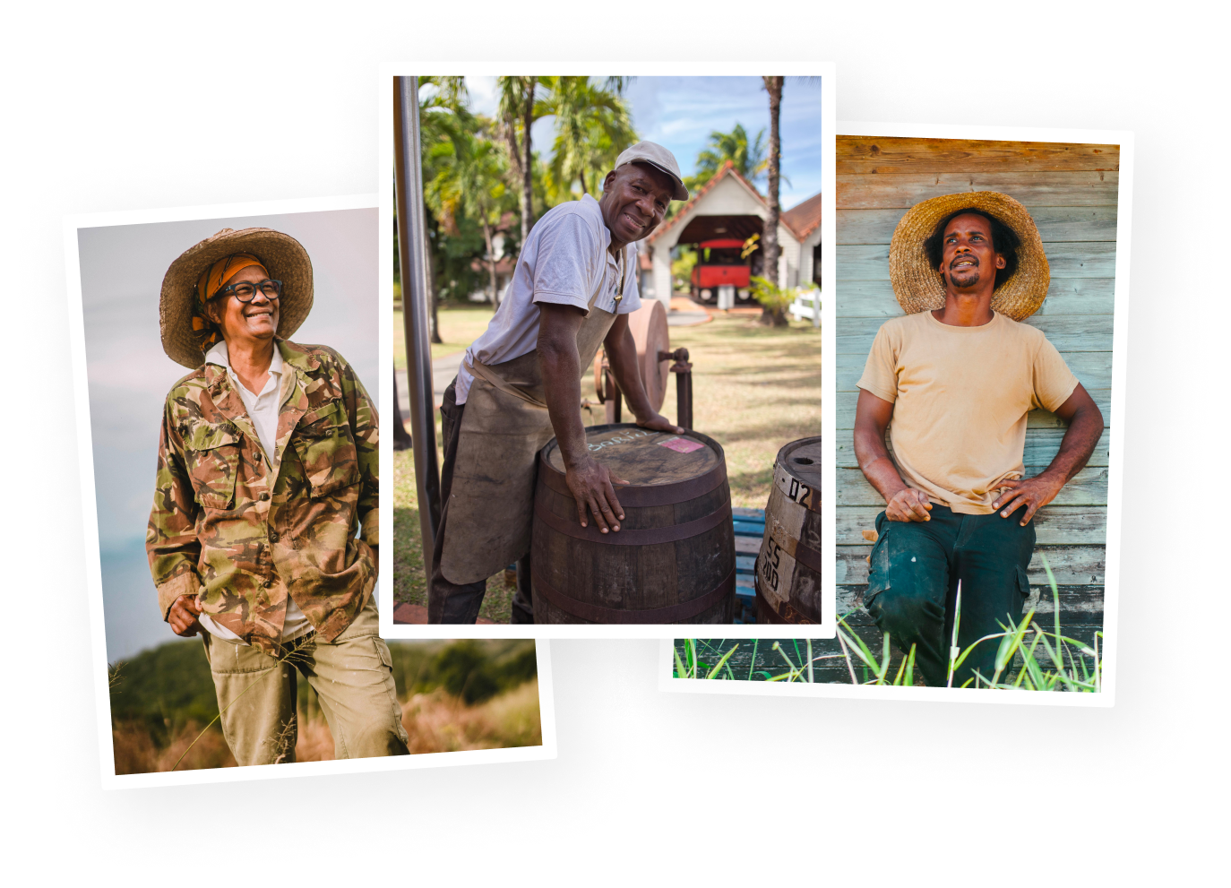 Ensemble d'images de producteurs locaux