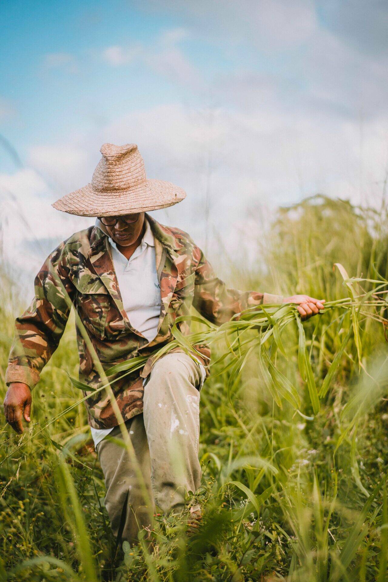 Rose-Hélène arrache des mauvaises herbes