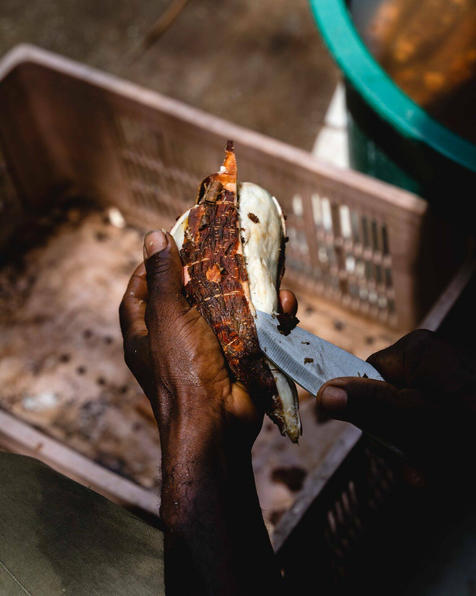 Manioc en train d'être épluché par Raymond