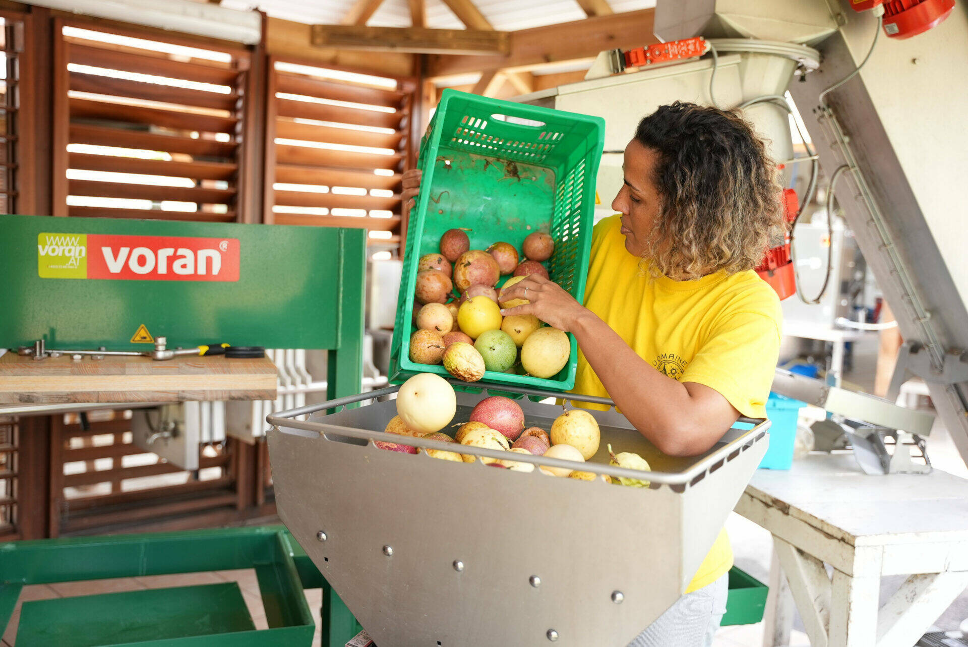 Linda préparant le pressage des maracujas