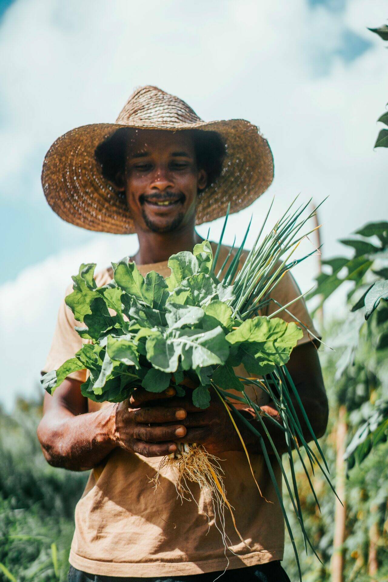 Renaud tenant un assortiment de laitue, oignon péyi et autres aromates