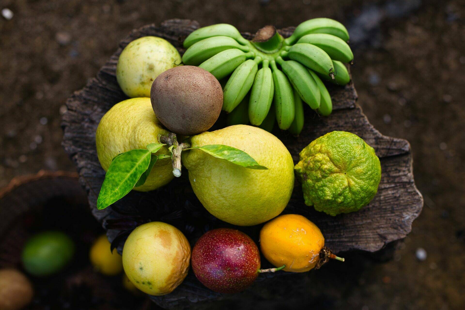 Ensemble de fruits du monde des végétaux