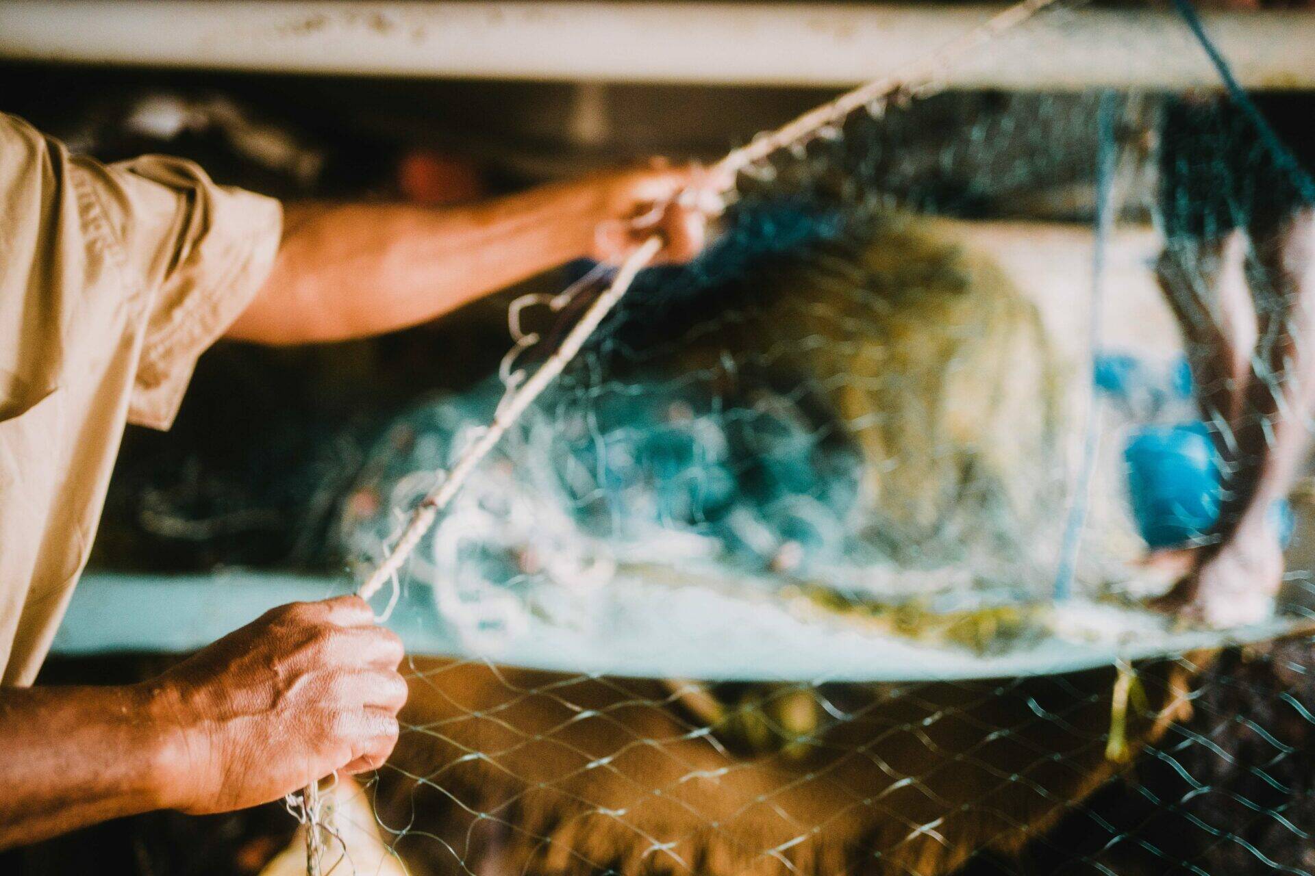 Clause tire sur le filet